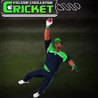 Cricket Fielder Challenge Game - FreezeNova Games